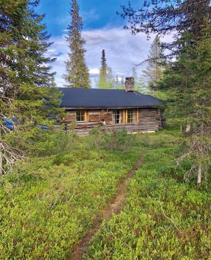 Villa Karhunkehto Луосто Экстерьер фото