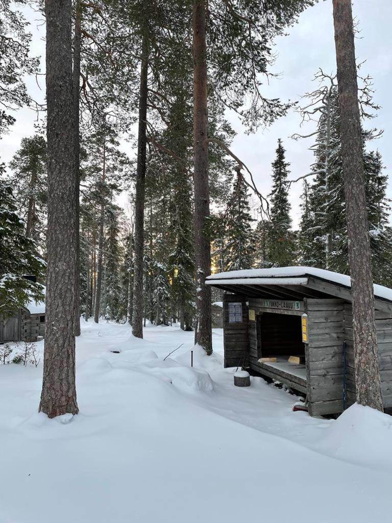 Villa Karhunkehto Луосто Экстерьер фото